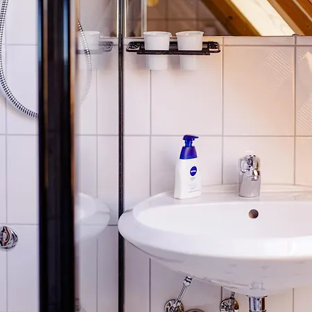 1-zimmer-ferienwohnung Vogelnest Apartamento Dobel